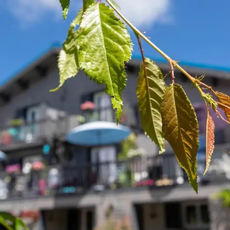 L'alpen Roc Bed & Breakfast
